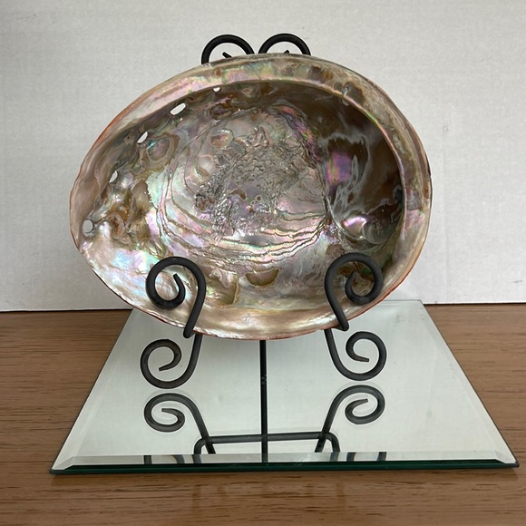 Rare Giant Red Abalone Shell: Perfect Display Condition - Picture 3 of 8
